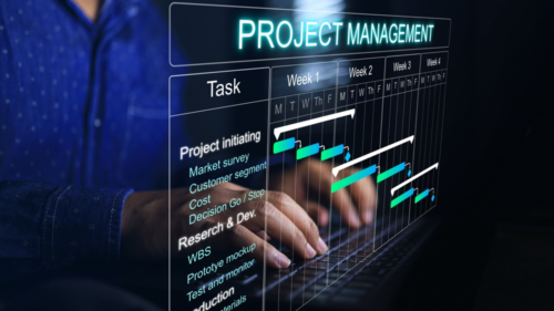 IT Project Management: Why is it so special?