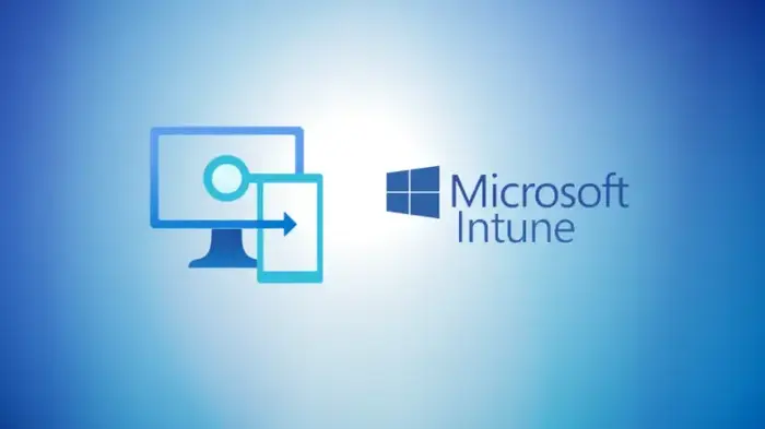 Intune Support Services