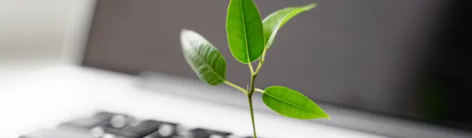 Sustainable IT